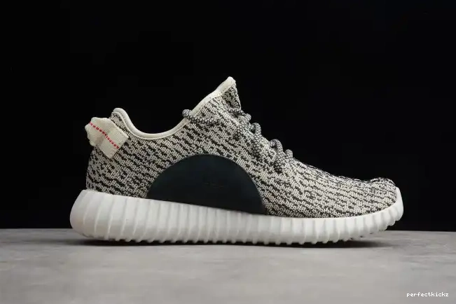 YEEZY Dove Boost 350 AQ4832 Adidas Turtle 0701